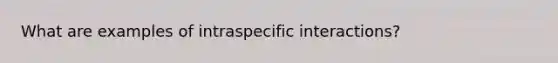 What are examples of intraspecific interactions?