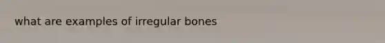 what are examples of irregular bones