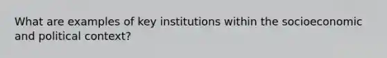 What are examples of key institutions within the socioeconomic and political context?