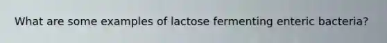 What are some examples of lactose fermenting enteric bacteria?