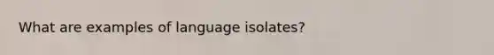 What are examples of language isolates?