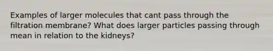 Examples of larger molecules that cant pass through the filtration membrane? What does larger particles passing through mean in relation to the kidneys?