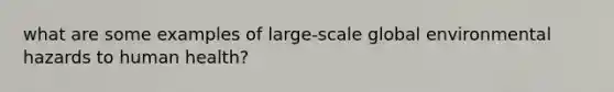 what are some examples of large-scale global environmental hazards to human health?
