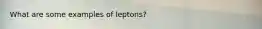 What are some examples of leptons?