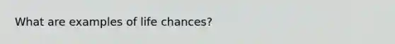 What are examples of life chances?