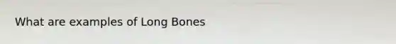 What are examples of Long Bones