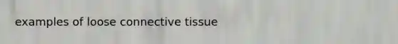 examples of loose <a href='https://www.questionai.com/knowledge/kYDr0DHyc8-connective-tissue' class='anchor-knowledge'>connective tissue</a>