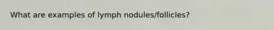 What are examples of lymph nodules/follicles?