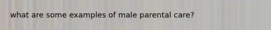 what are some examples of male parental care?