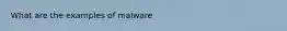 What are the examples of malware