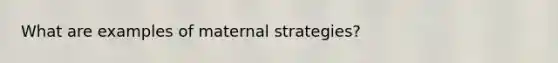 What are examples of maternal strategies?