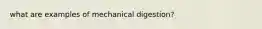 what are examples of mechanical digestion?