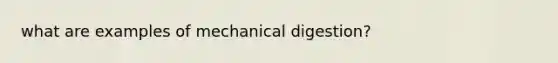 what are examples of mechanical digestion?