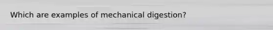 Which are examples of mechanical digestion?