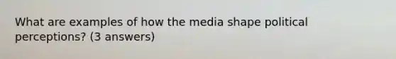 What are examples of how the media shape political perceptions? (3 answers)