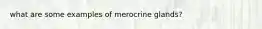 what are some examples of merocrine glands?