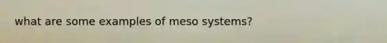 what are some examples of meso systems?