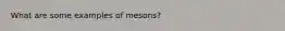 What are some examples of mesons?