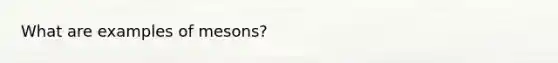 What are examples of mesons?