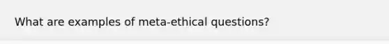 What are examples of meta-ethical questions?