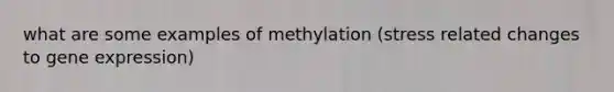 what are some examples of methylation (stress related changes to gene expression)