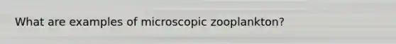 What are examples of microscopic zooplankton?