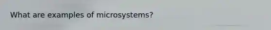 What are examples of microsystems?