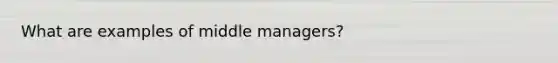 What are examples of middle managers?