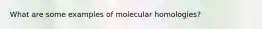 What are some examples of molecular homologies?