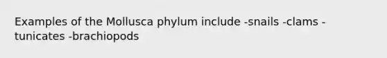 Examples of the Mollusca phylum include -snails -clams -tunicates -brachiopods