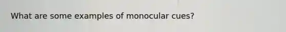 What are some examples of monocular cues?