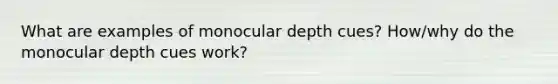 What are examples of monocular depth cues? How/why do the monocular depth cues work?