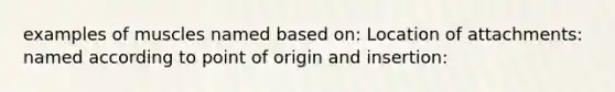 examples of muscles named based on: Location of attachments: named according to point of origin and insertion: