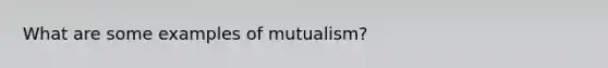 What are some examples of mutualism?