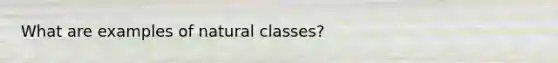 What are examples of natural classes?