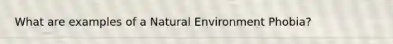 What are examples of a Natural Environment Phobia?