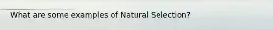 What are some examples of Natural Selection?