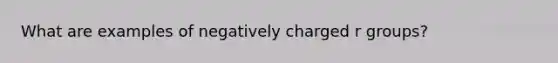 What are examples of negatively charged r groups?