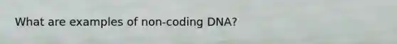 What are examples of non-coding DNA?