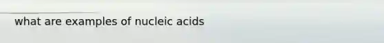 what are examples of nucleic acids