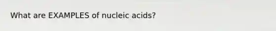 What are EXAMPLES of nucleic acids?