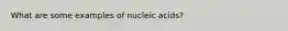 What are some examples of nucleic acids?