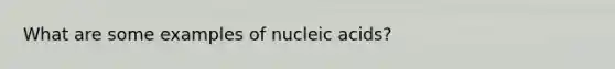 What are some examples of nucleic acids?