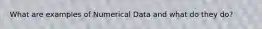 What are examples of Numerical Data and what do they do?
