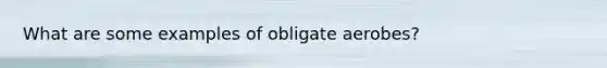 What are some examples of obligate aerobes?