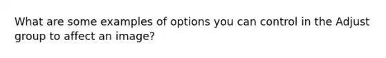 What are some examples of options you can control in the Adjust group to affect an image?