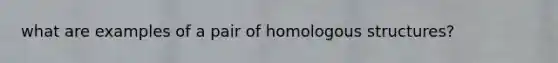 what are examples of a pair of homologous structures?