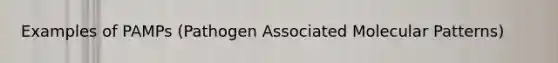 Examples of PAMPs (Pathogen Associated Molecular Patterns)