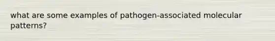 what are some examples of pathogen-associated molecular patterns?