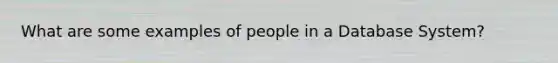 What are some examples of people in a Database System?